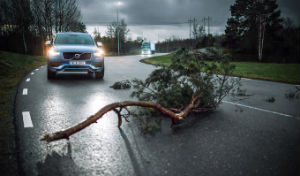 Volvo Cars и Volvo Trucks будут использовать совместные данные ради повышения уровня безопасности на дорогах